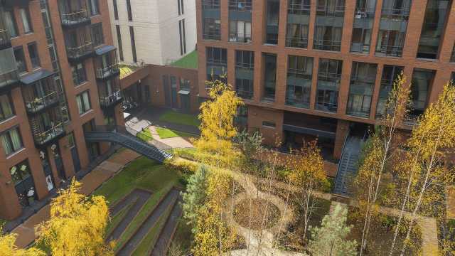 Image 15