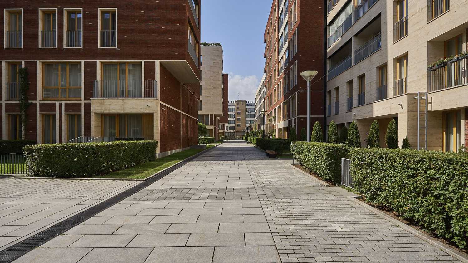 Image 21