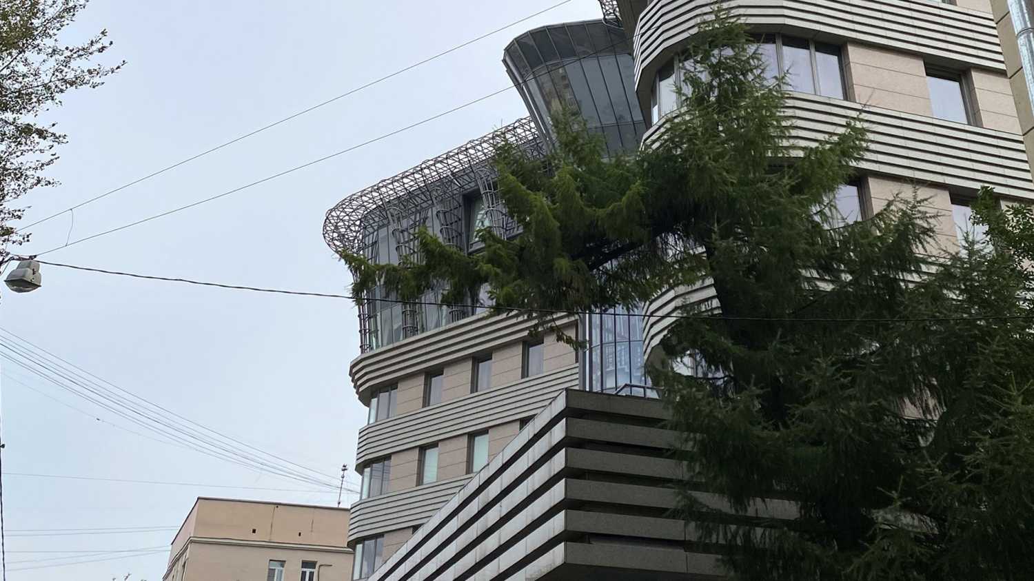 Image 5