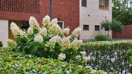 Image 20